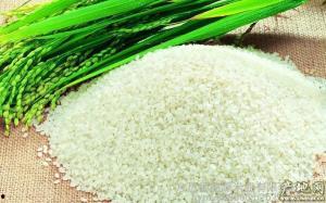 绿色大米爆料方法视频讲解,揭秘视频讲解中的种植奥秘